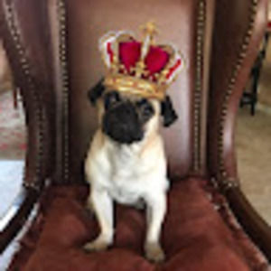 Meet your Posher, Murphy